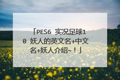 pes6妖人-pes6转世妖人  第1张