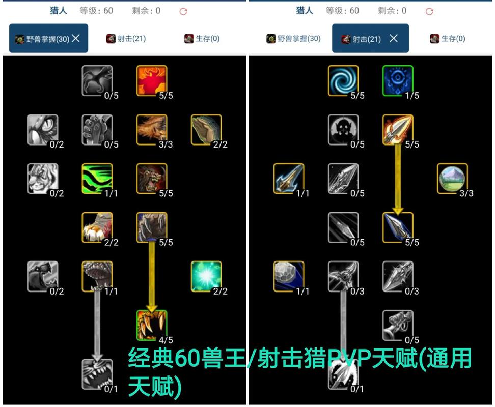 wow猎人天赋-wow猎人天赋100  第1张
