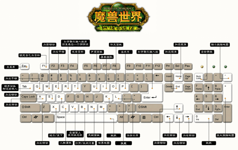 魔兽世界怎么玩-魔兽世界怎么玩新手教学  第1张