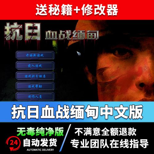 血战缅甸通关秘籍-血战缅甸通关秘籍怎么用