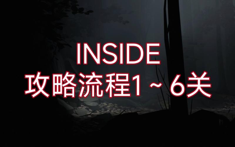 inside攻略-INSIDE攻略详细步骤详解